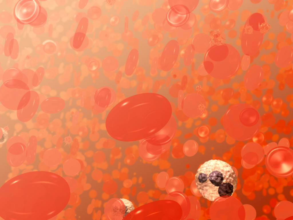 Illustration of circulating red blood cells with a biconcave shape, shown alongside a white blood cell and platelets, representing blood components involved in oxygen transport and immunity.